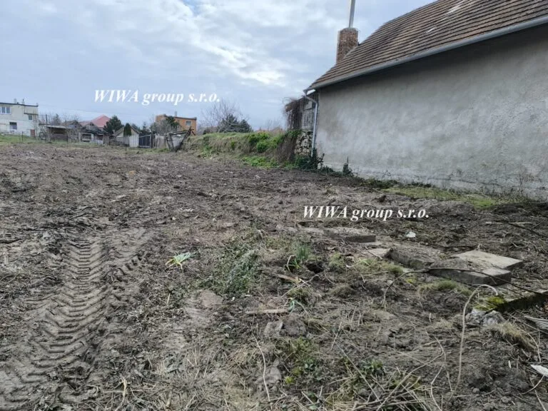 1710834706691-scaled-1