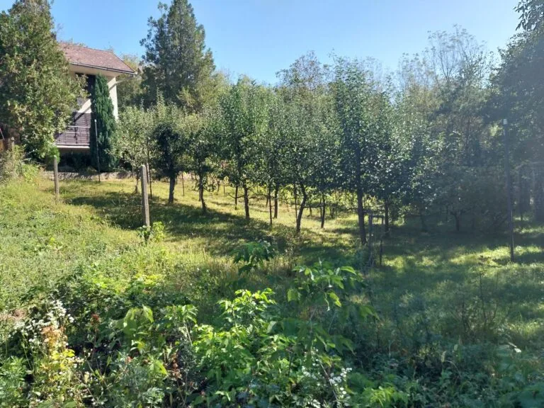 20230907_102737-scaled-1