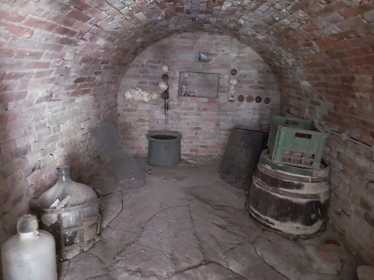 20230907_102937-scaled-1