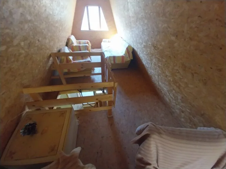 20230907_103358-scaled-1