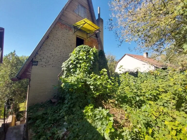 20230907_103657-scaled-1