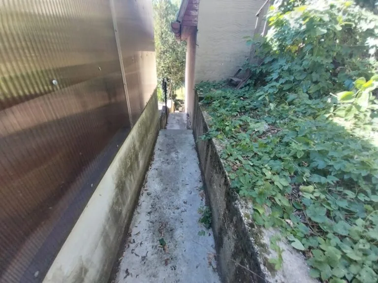 20230907_103659-scaled-1