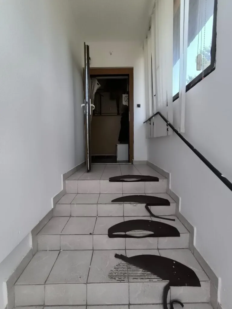 23803324-124a-4799-ac56-d2d07487dd88