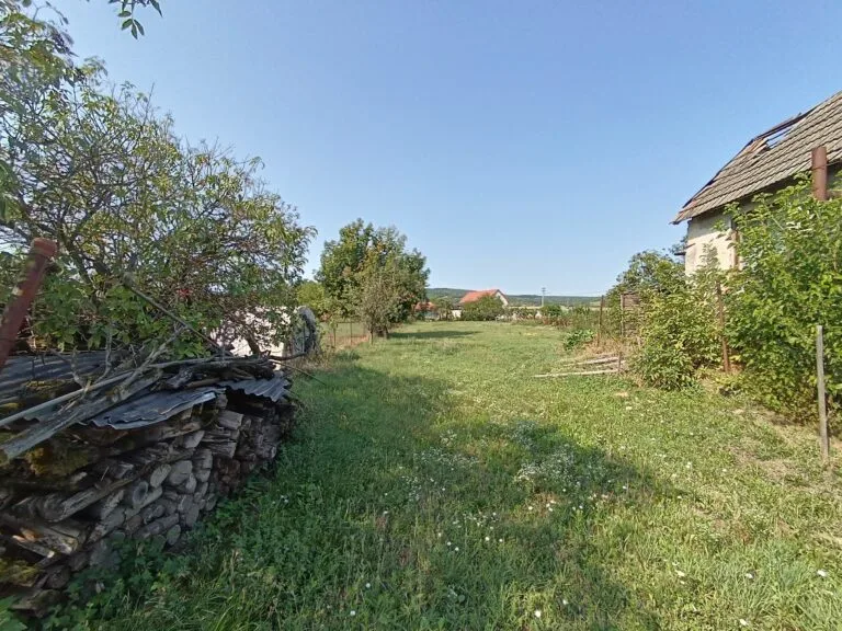 8299d2d4-e06d-4dc1-b48c-a3f8a6644b6a