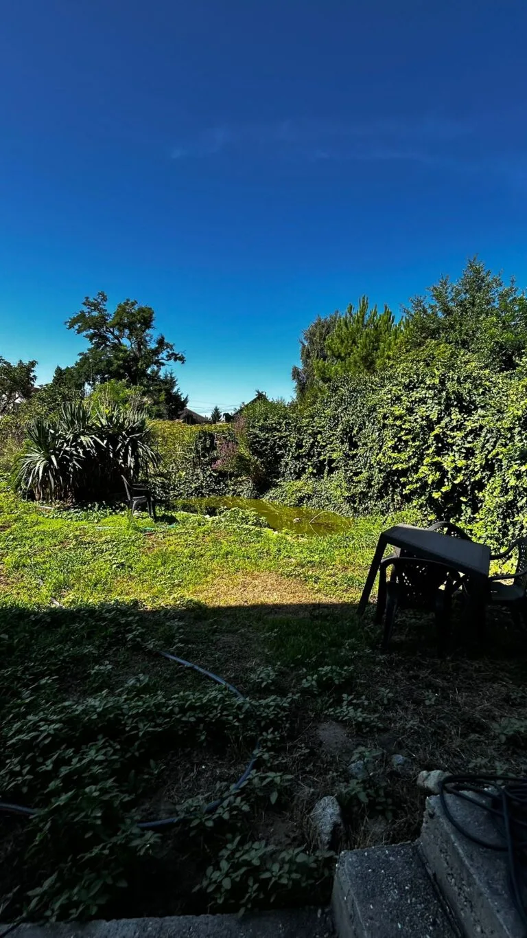 IMG-20250730-WA0009-1