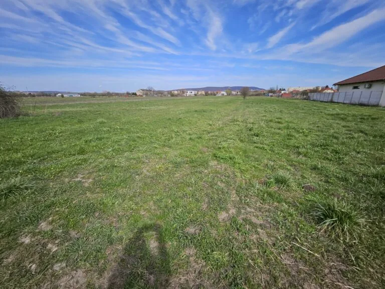 Obrazok-WhatsApp-2024-03-26-o-15.48.19_06bd06c5