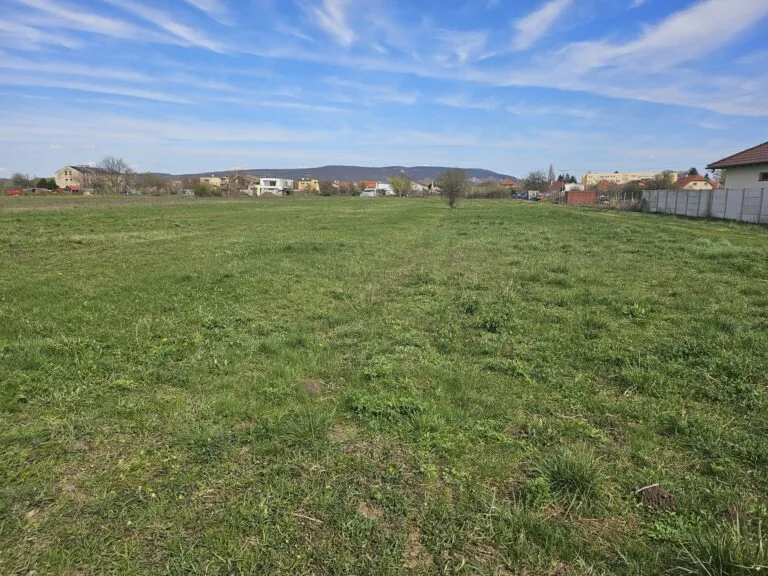 Obrazok-WhatsApp-2024-03-26-o-15.48.20_6a1ec69d