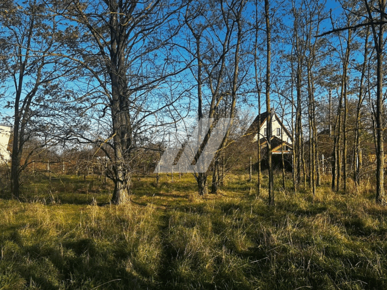 WIWA-GROUP-1920-x-1080-px-1600-x-1200-px-2040-x-1530-px-1600-x-721-px-1513-x-1200-px-1600-x-1200-px.zip-31-2-2