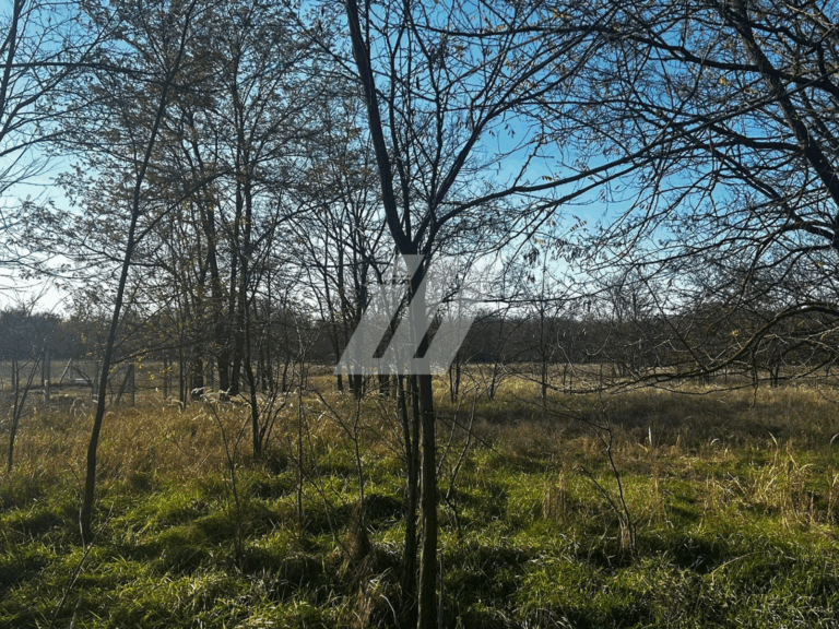 WIWA-GROUP-1920-x-1080-px-1600-x-1200-px-2040-x-1530-px-1600-x-721-px-1513-x-1200-px-1600-x-1200-px.zip-33-2-2