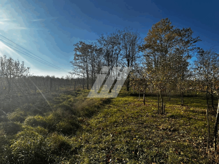 WIWA-GROUP-1920-x-1080-px-1600-x-1200-px-2040-x-1530-px-1600-x-721-px-1513-x-1200-px-1600-x-1200-px.zip-34-2-2