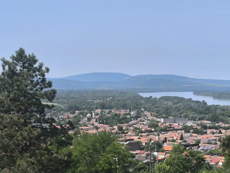 cfbfea0e-ea1b-42b2-bd79-86de9911ef26