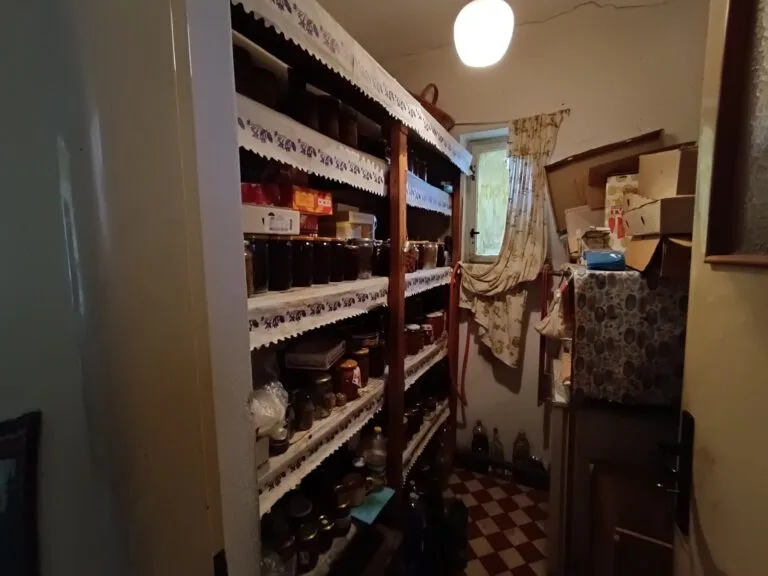 e5585b0a-63d2-46f8-b34d-cf90ba54f92a